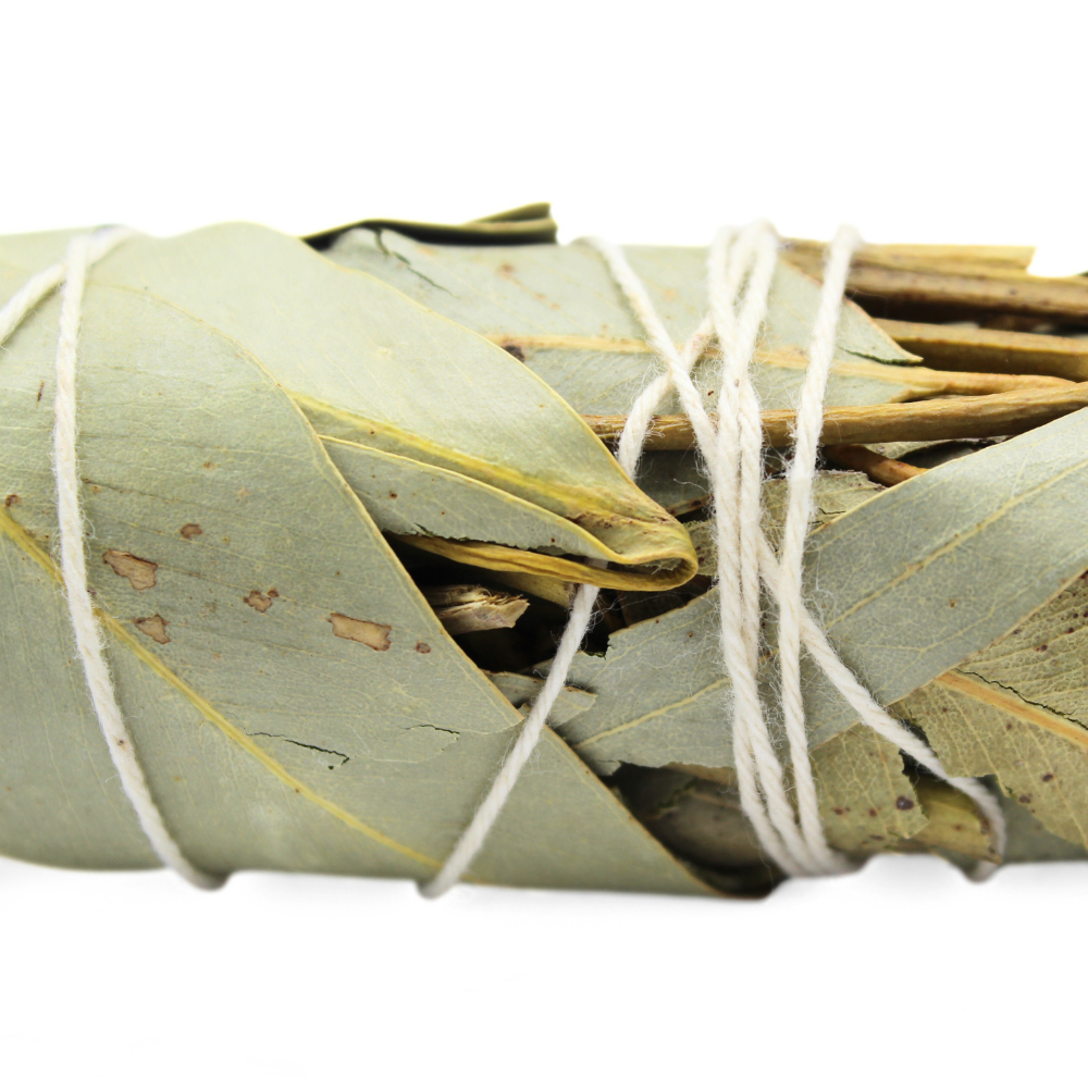 Eucalyptus Sage 10cm