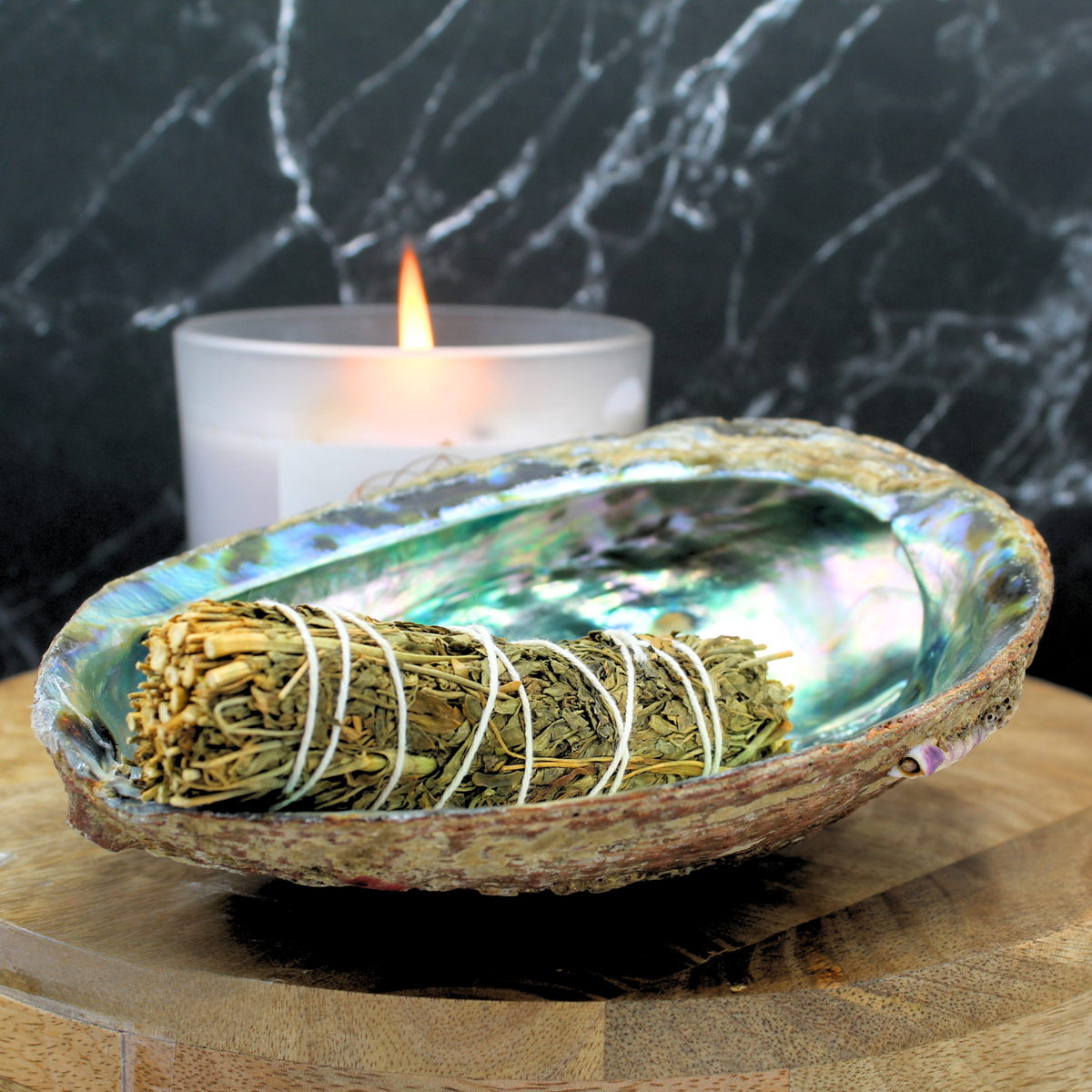 GREEN ABALONE SHELL 15-17cm
