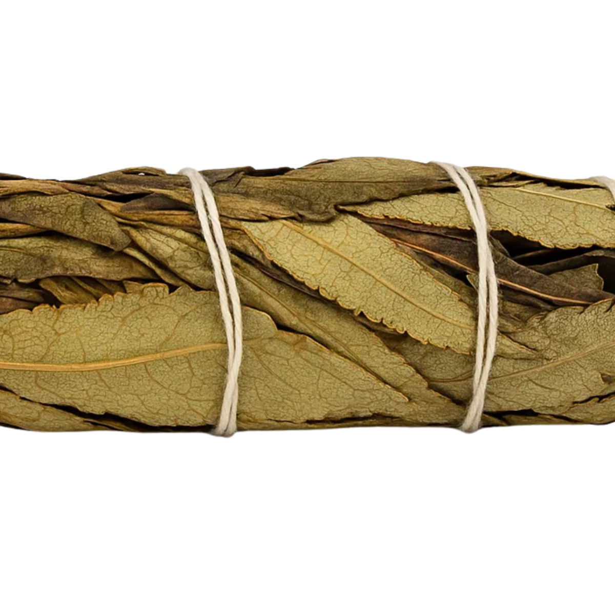 Yerba Santa Sage 10 cm