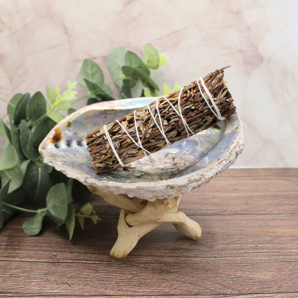 Mountain Sage 10 cm (Price per pc)