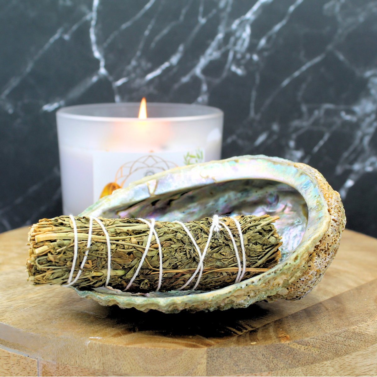 Green Abalone Shell 10-12cm