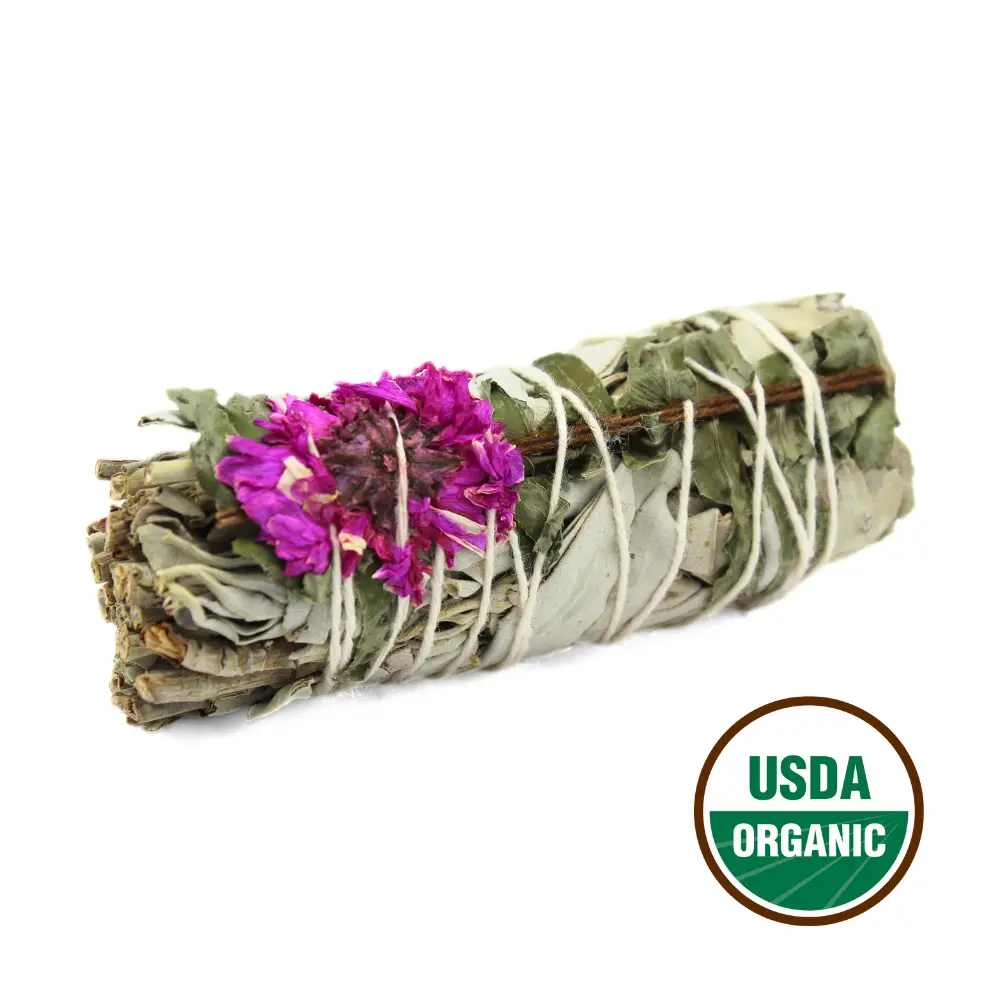 Dahlia Sage 10cm (price per pc)