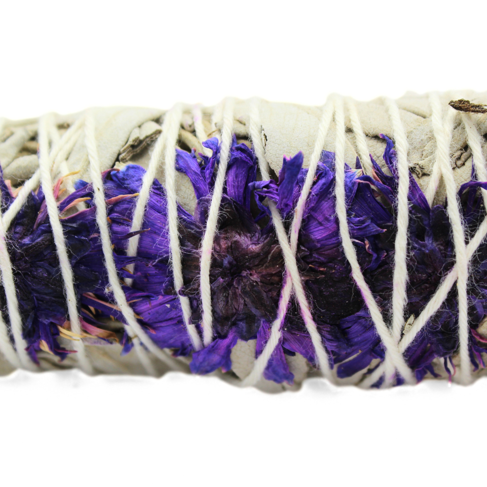 Purple Daze Sage 10cm (price per pc)
