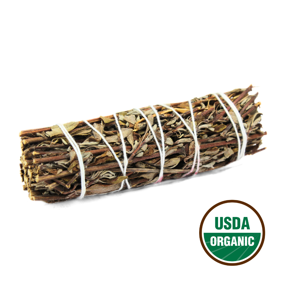 Mountain Sage 10 cm (Price per pc)