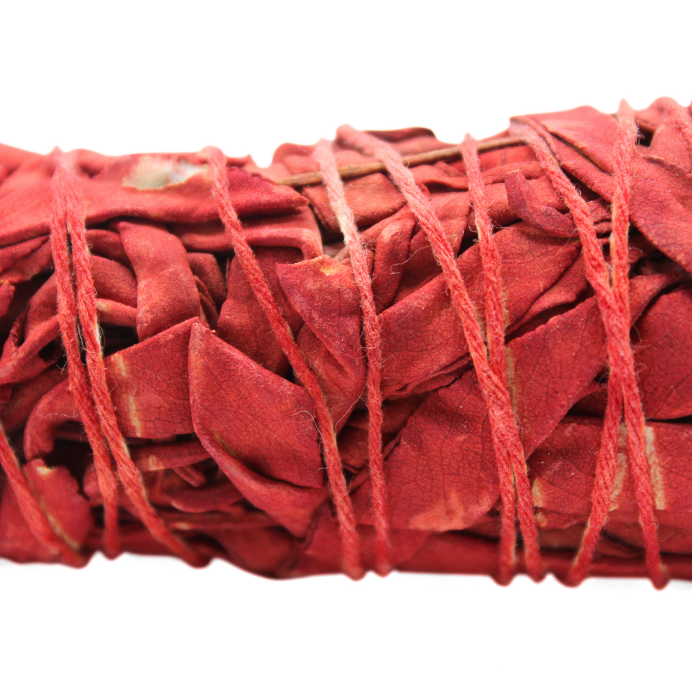 Dragon's blood Sage 10 cm