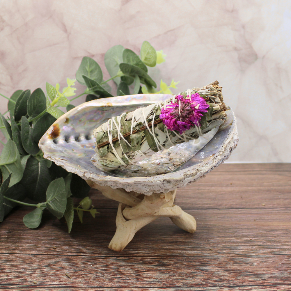 Dahlia Sage 10cm (price per pc)