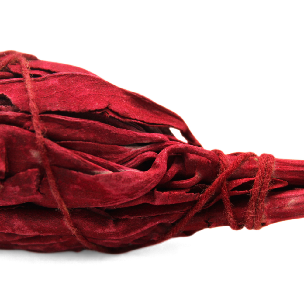 Dragonsblood Torch Sage 10 cm
