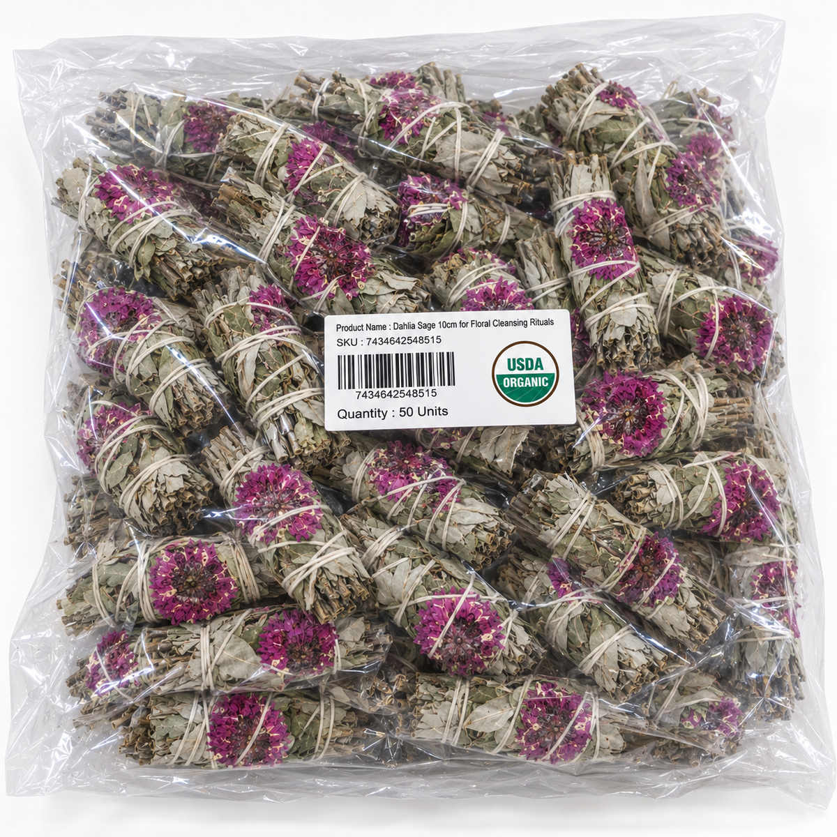 Dahlia Sage 10cm (price per pc)