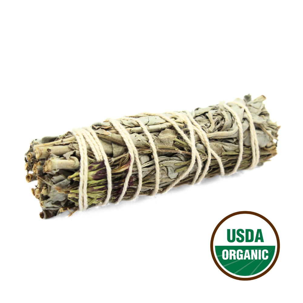 Green Sage 10 cm