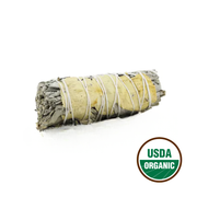 Angel Healing Sage 10cm (Price per Piece)