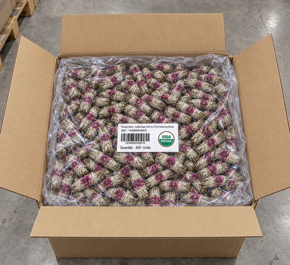 Dahlia Sage 10cm (price per pc)