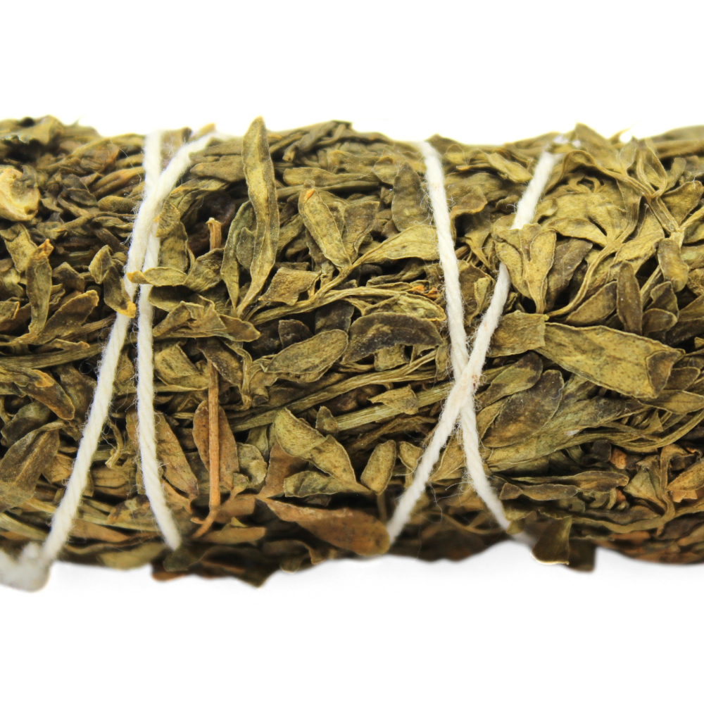RUDA RUE SAGE 10cm