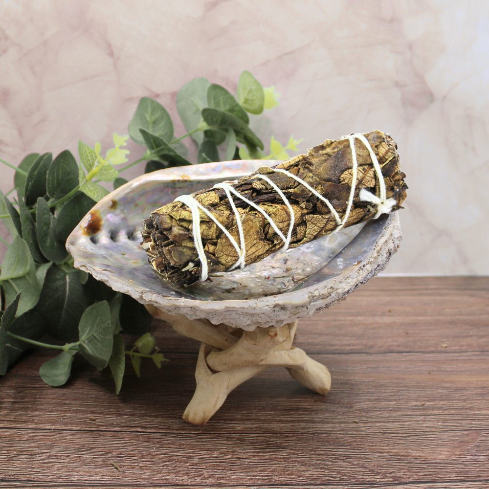 Black Sage 10 cm