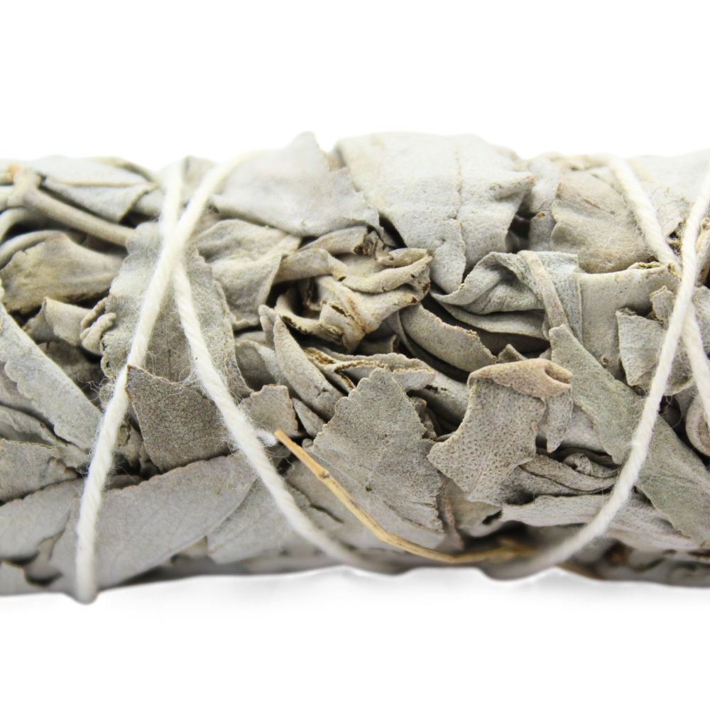 Medium White Sage Smudge 15 cm - 17cm - 45-50g