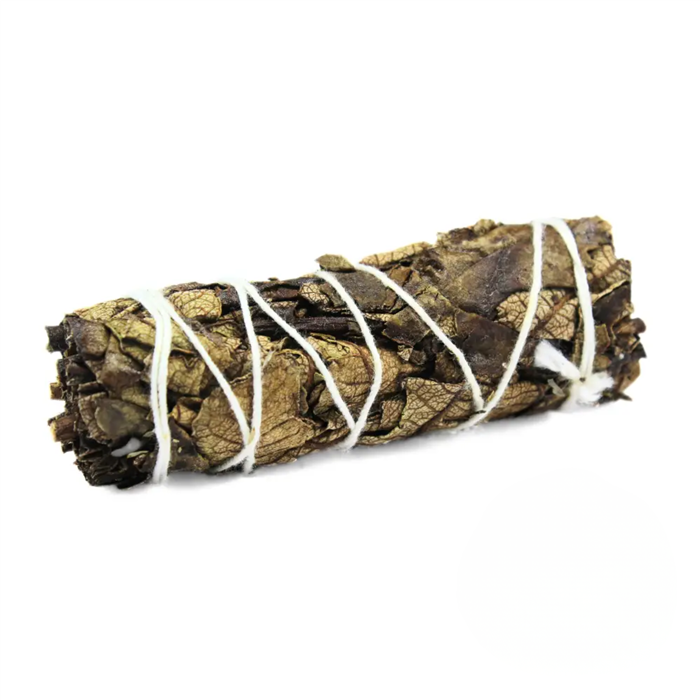 Black Sage 10 cm with label