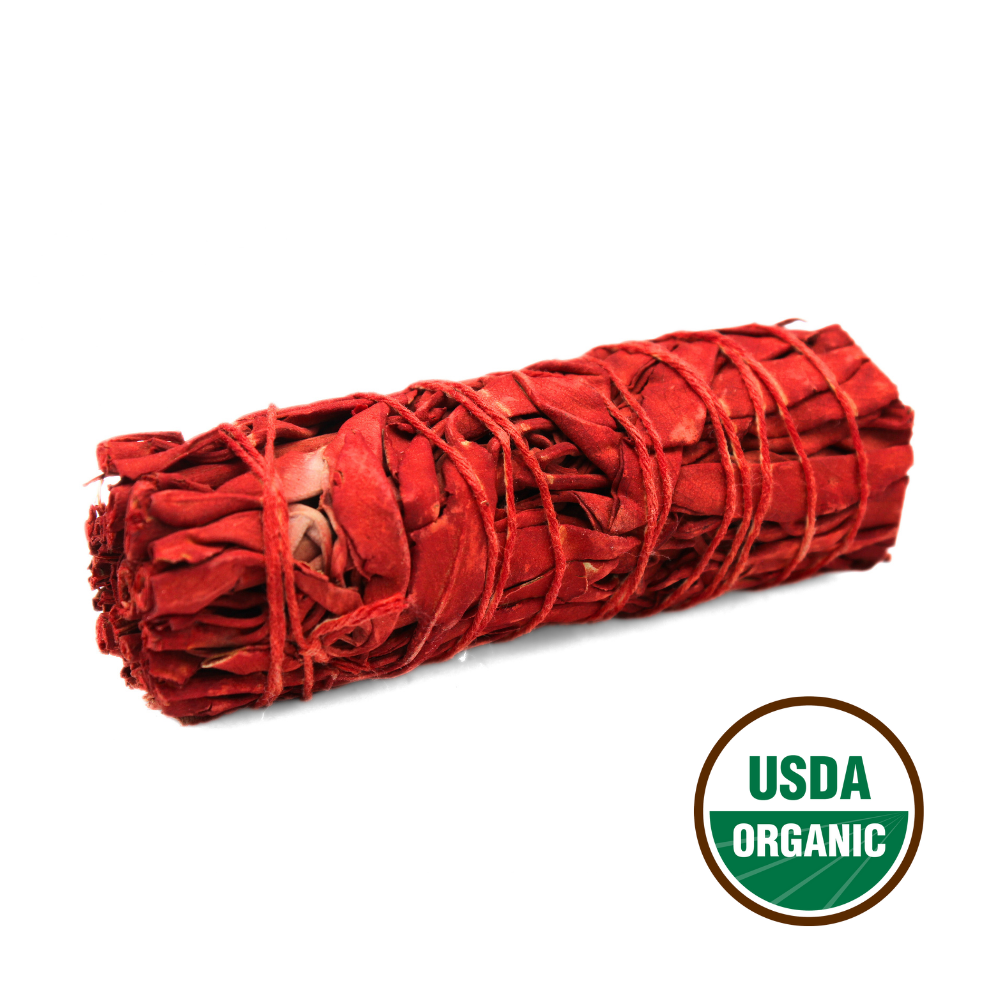 Dragon's blood Sage 10 cm