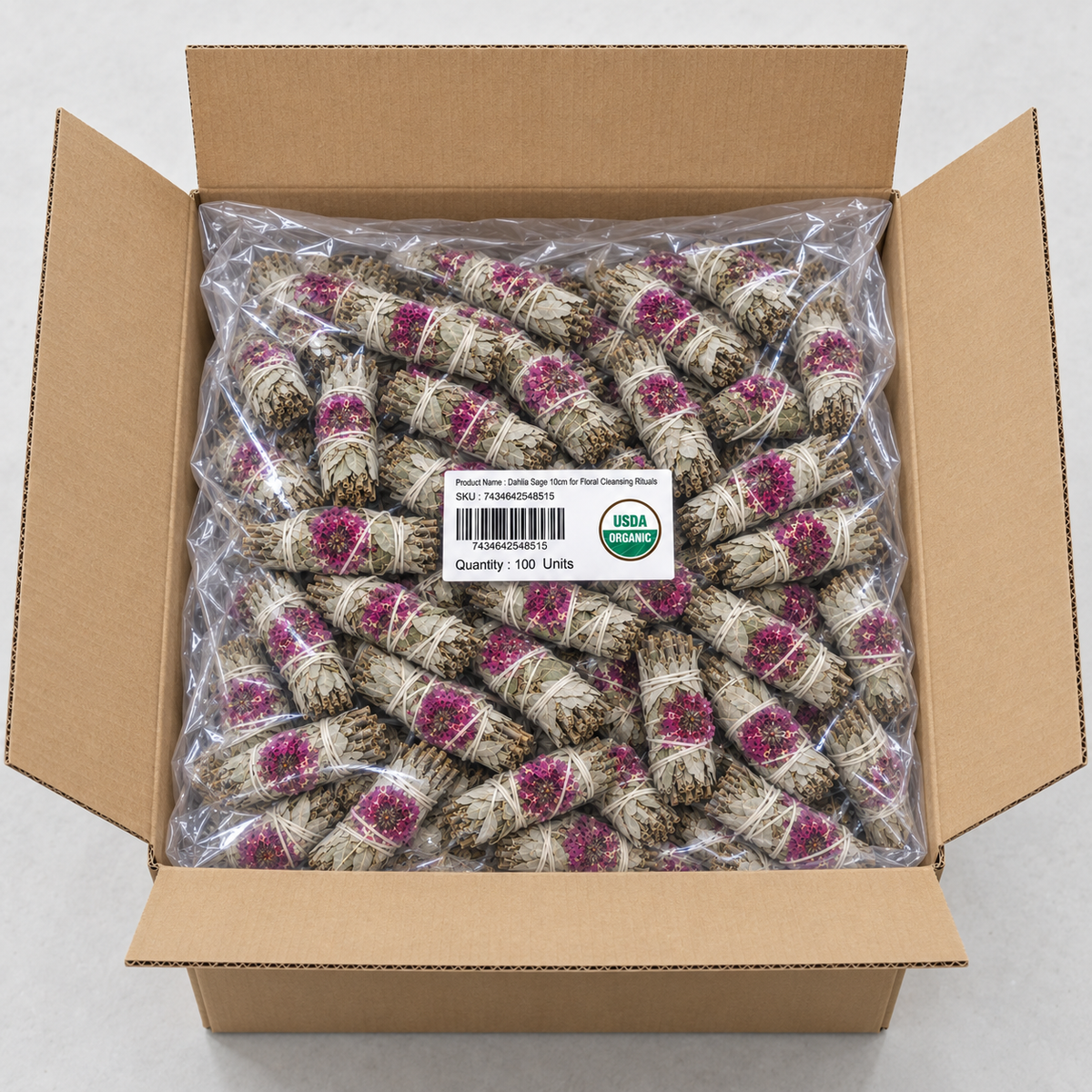 Dahlia Sage 10cm (price per pc)