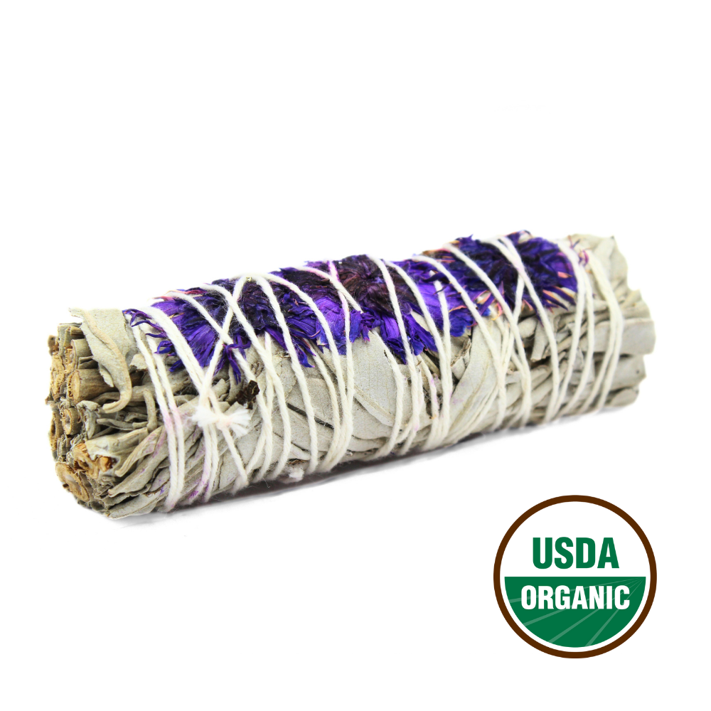 Purple Daze Sage 10cm (price per pc)