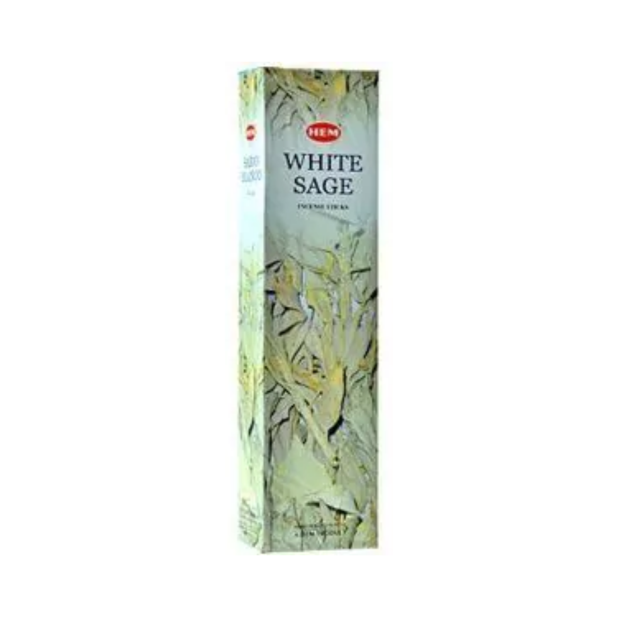 Hem White Sage Tall Hexa