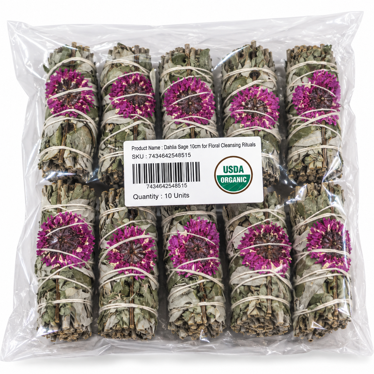 Dahlia Sage 10cm (price per pc)