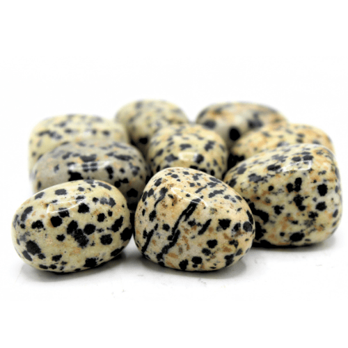 Dalmatian Jasper 'A' Tumbled Stones 200 gr