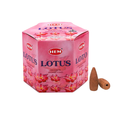 HEM Backflow Cones Lotus (12 packs x 40 pcs)