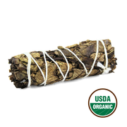 Black Sage 10 cm