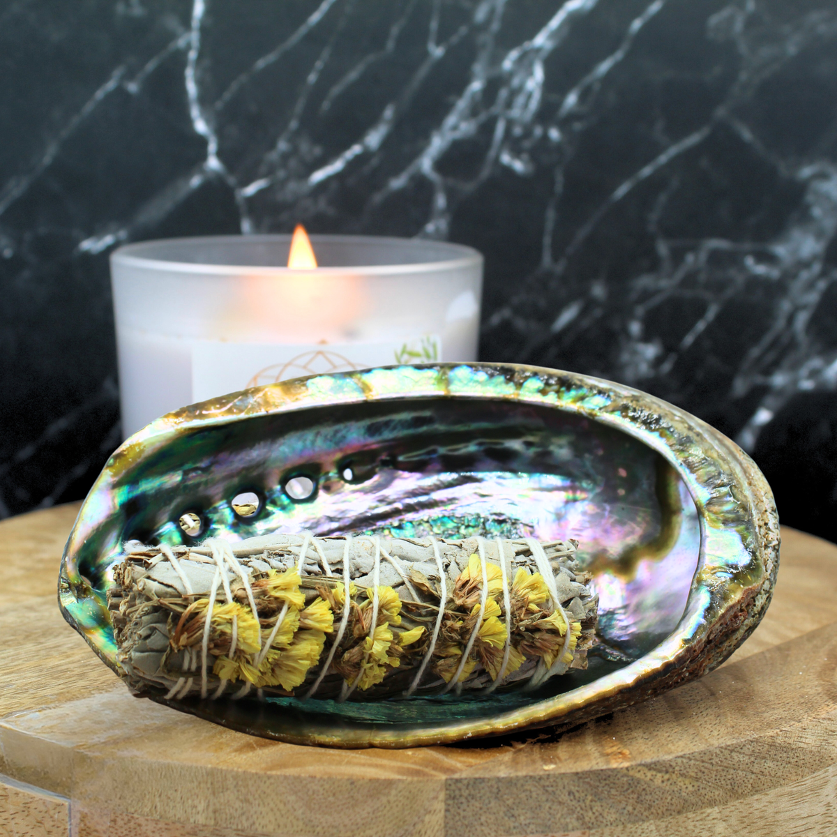 Abalone Shell 15 - 16 cm