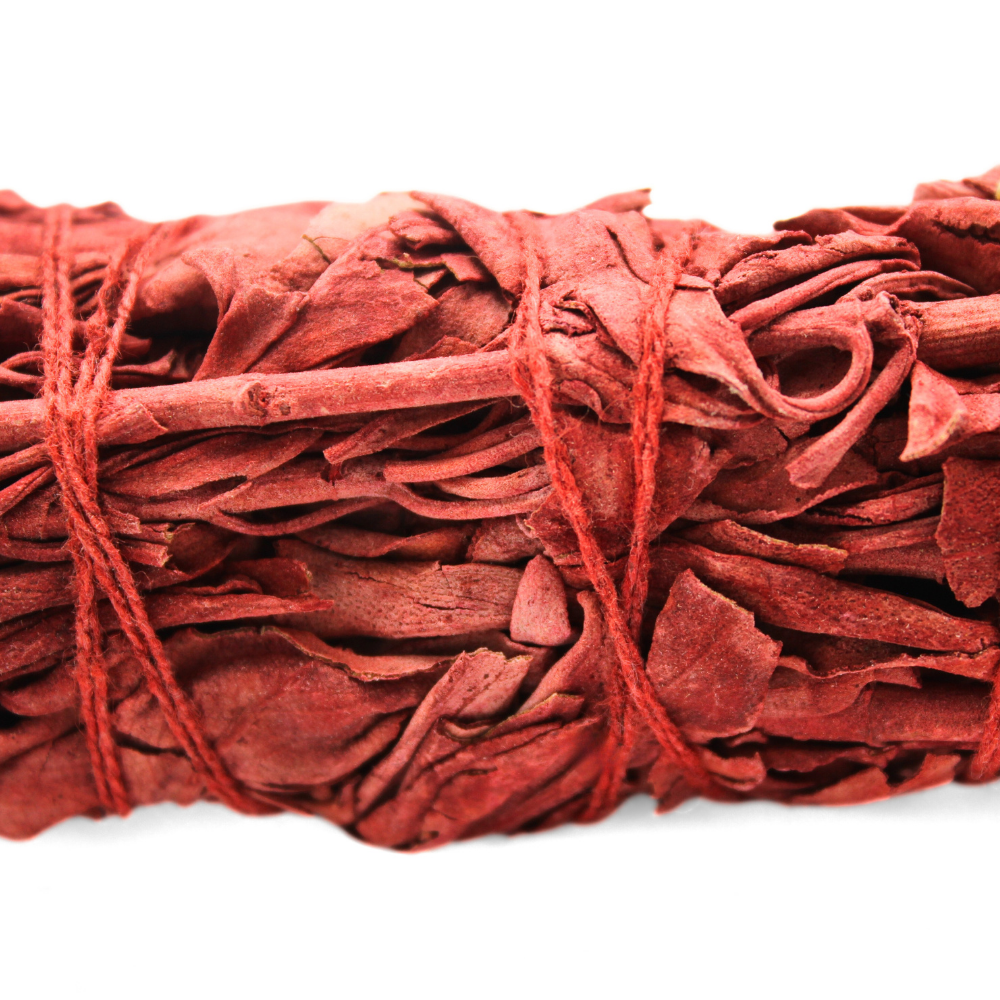Dragonsblood sage 15cm
