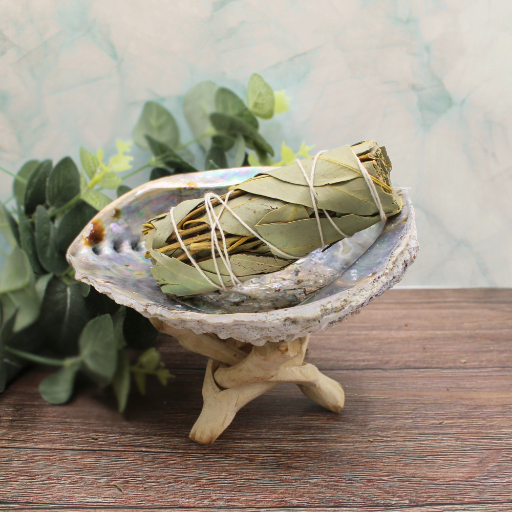 Eucalyptus Sage 10cm