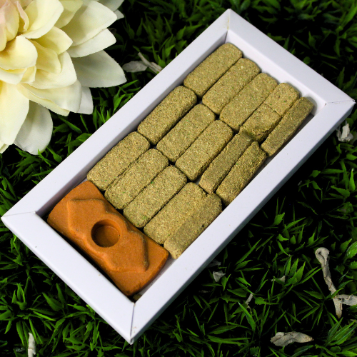 Green Tree White Sage Smudge Bricks (15 bricks with burner)