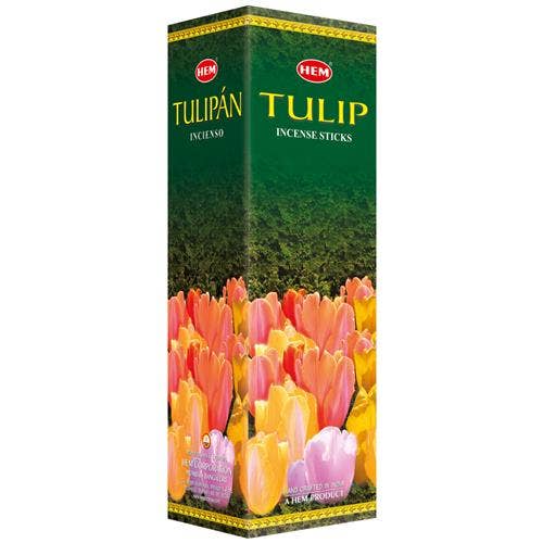 Hem Tulip Square (25 x 8 Sticks)