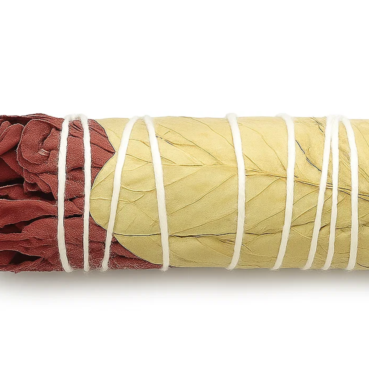 Dragons Fire Sage 10cm