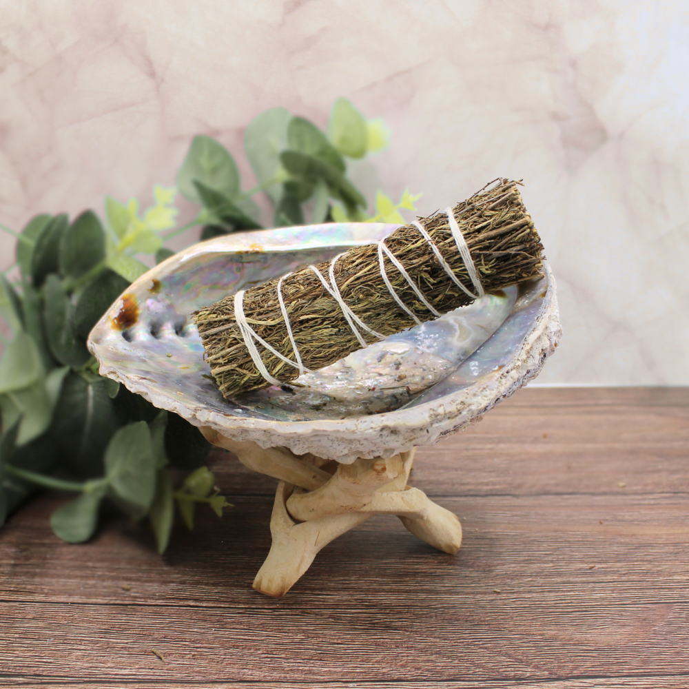 Desert Sage 10 cm
