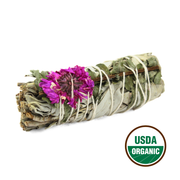 Dahlia Sage 10cm (price per pc)