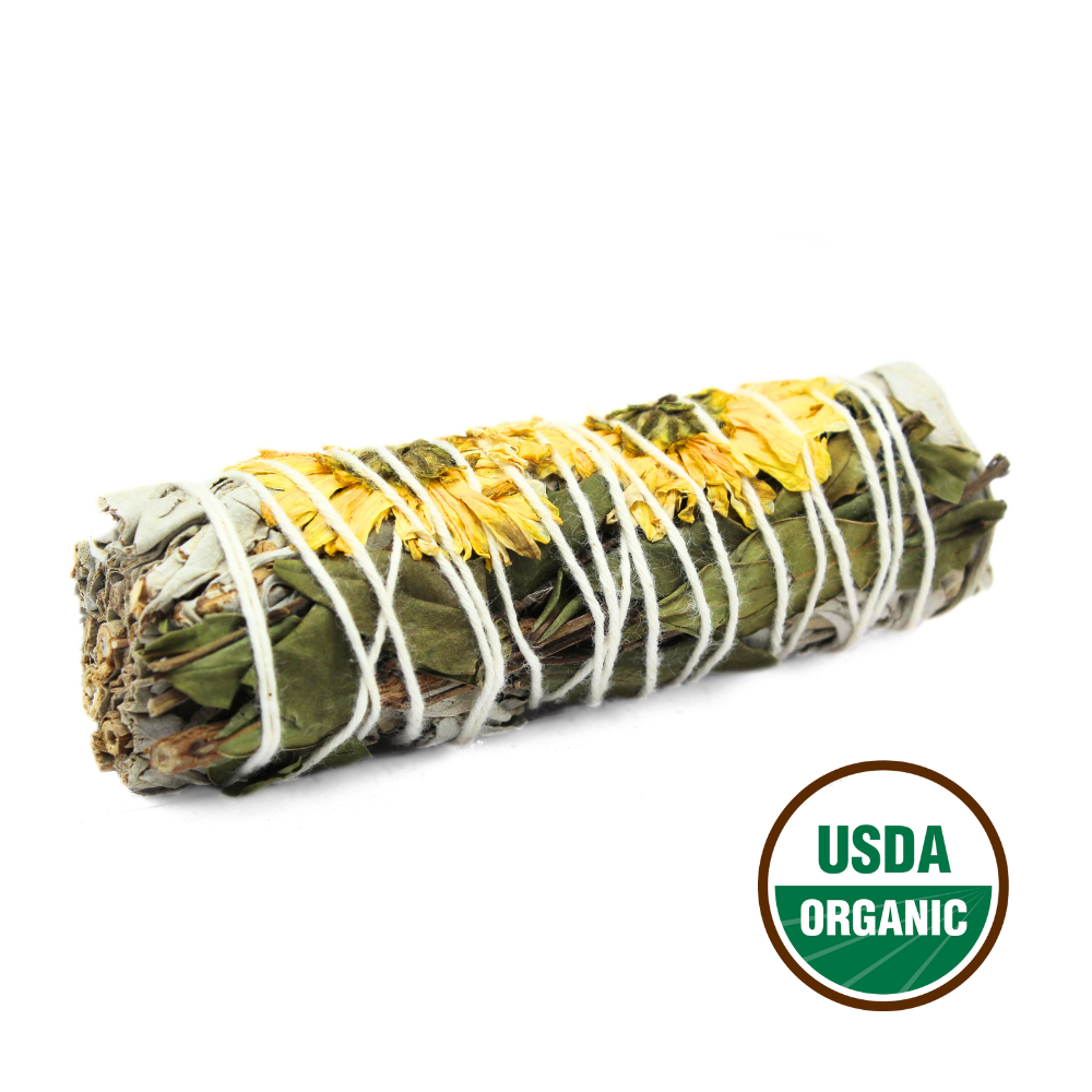 SUNFLOWER SAGE 10cm
