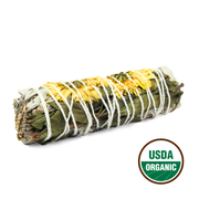 SUNFLOWER SAGE 10cm