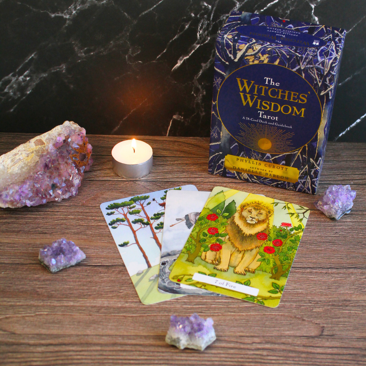 The Witches Wisdom Tarot Cards