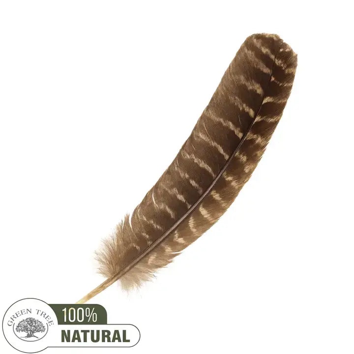 Barred Turkey Smudge Feather 20-25cm