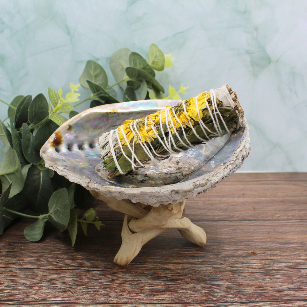 SUNFLOWER SAGE 10cm