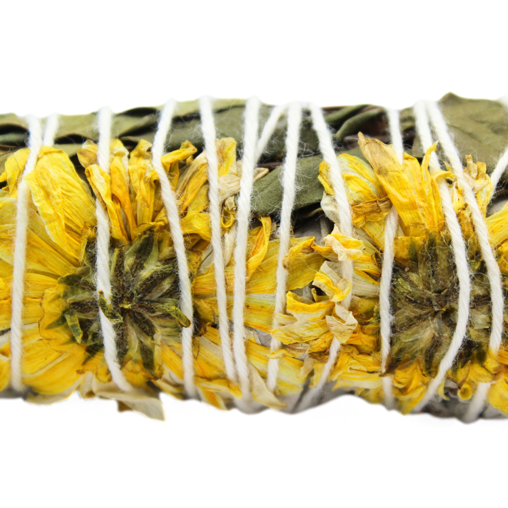 SUNFLOWER SAGE 10cm