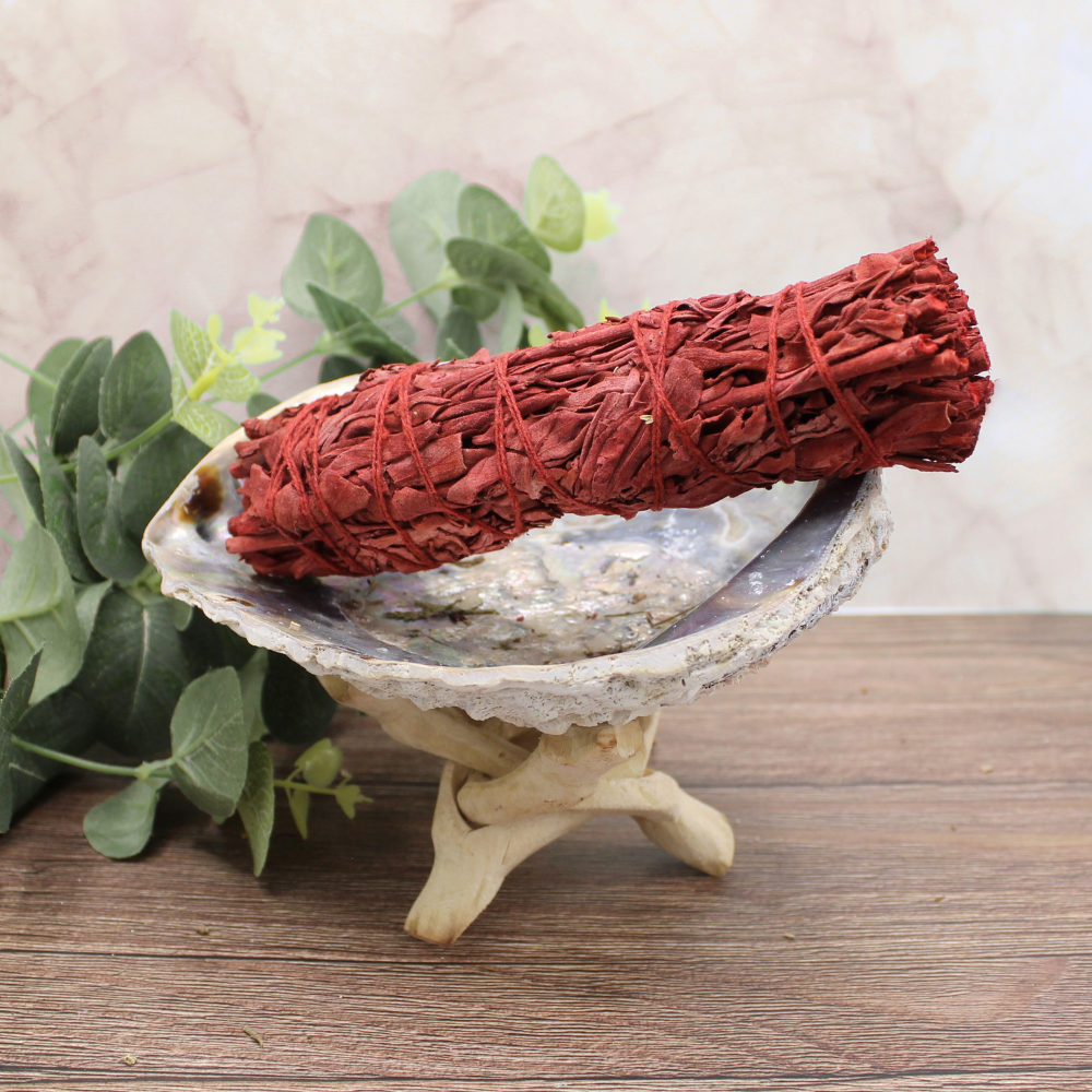 Dragonsblood sage 15cm