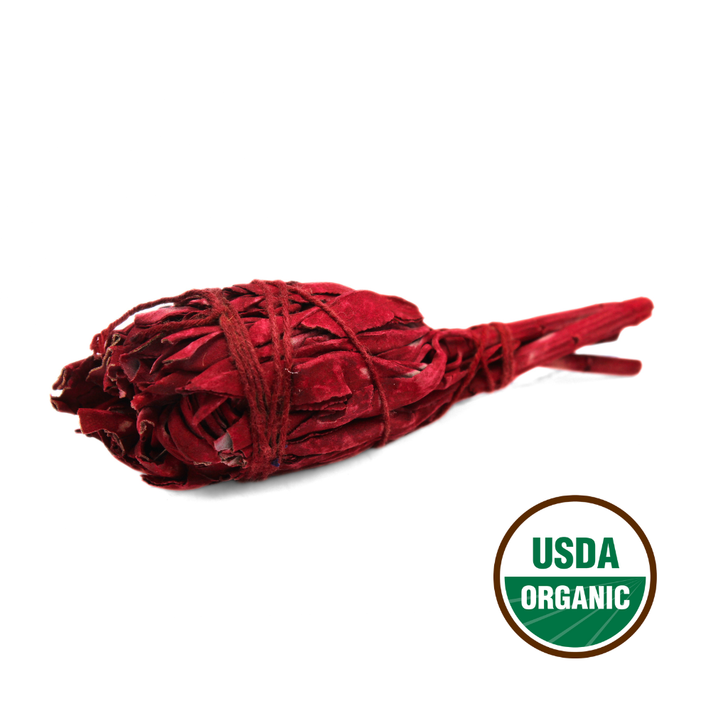Dragonsblood Torch Sage 10 cm