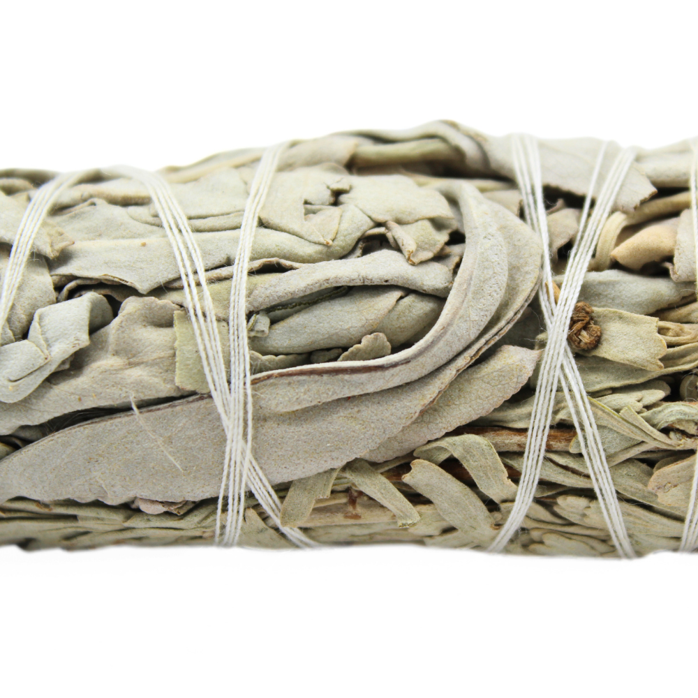 White Sage & Blue Sage Smudge Stick 10cm (price per pc)