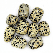 Dalmatian Jasper 'A' Tumbled Stones 200 gr