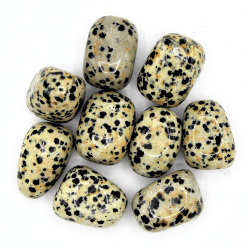 Dalmatian Jasper 'A' Tumbled Stones 200 gr