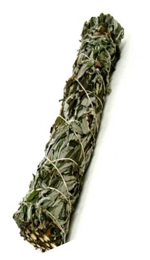 Black Sage 22.5 cm