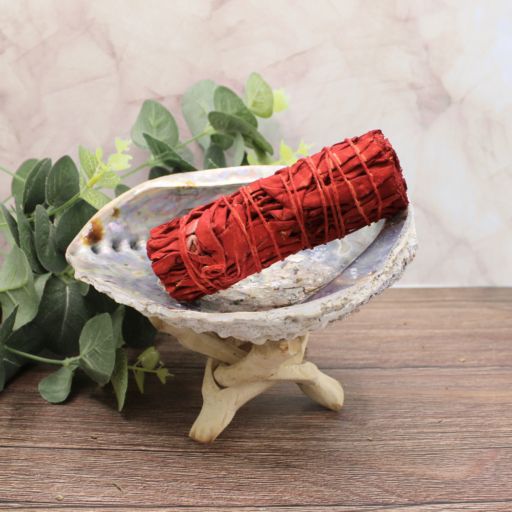 Dragon's blood Sage 10 cm