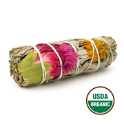 Native Joy Sage 10cm (price per pc)