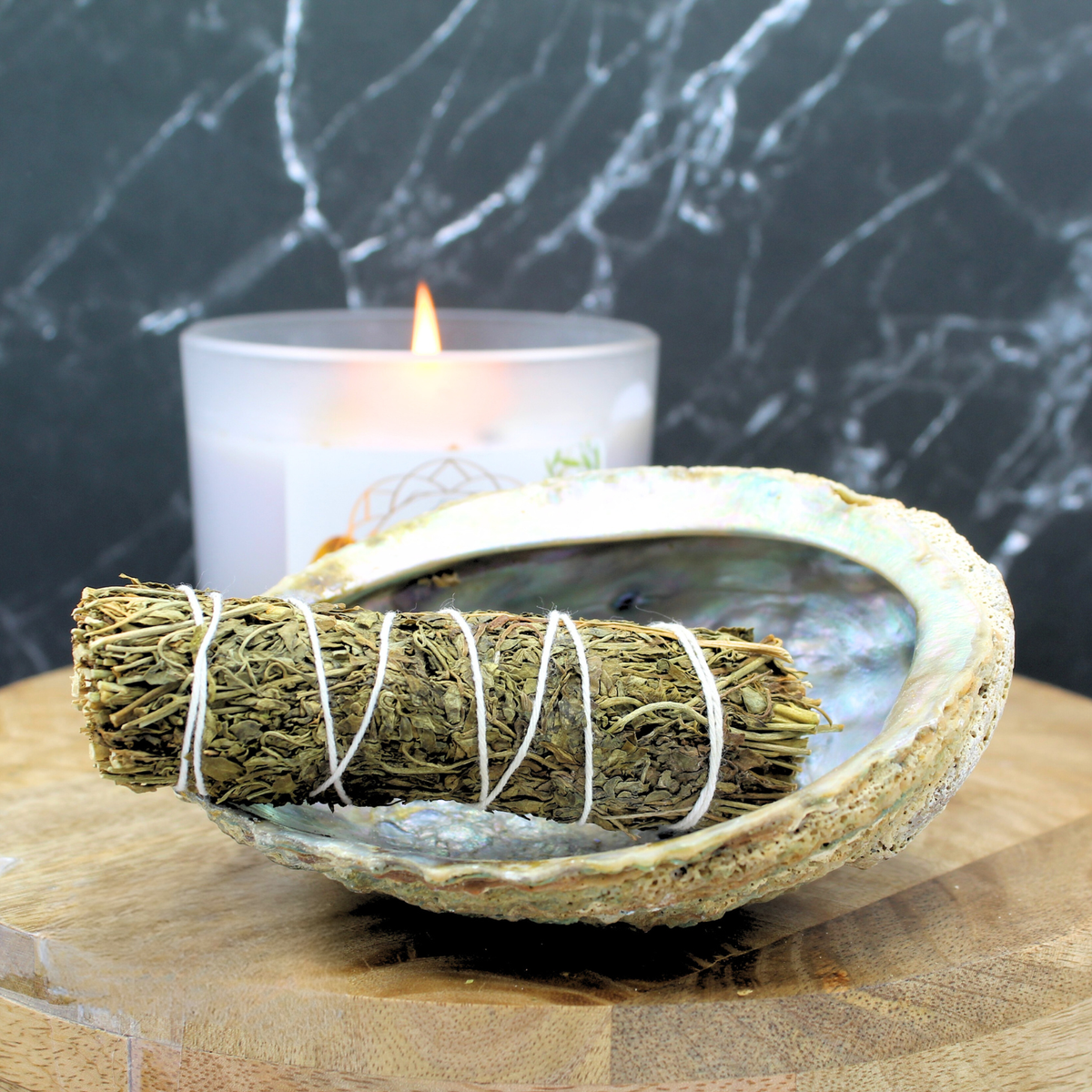 GREEN ABALONE SHELL 12-15CM